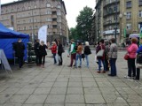 Akcja Gibały „Robimy tlen” w Krakowie