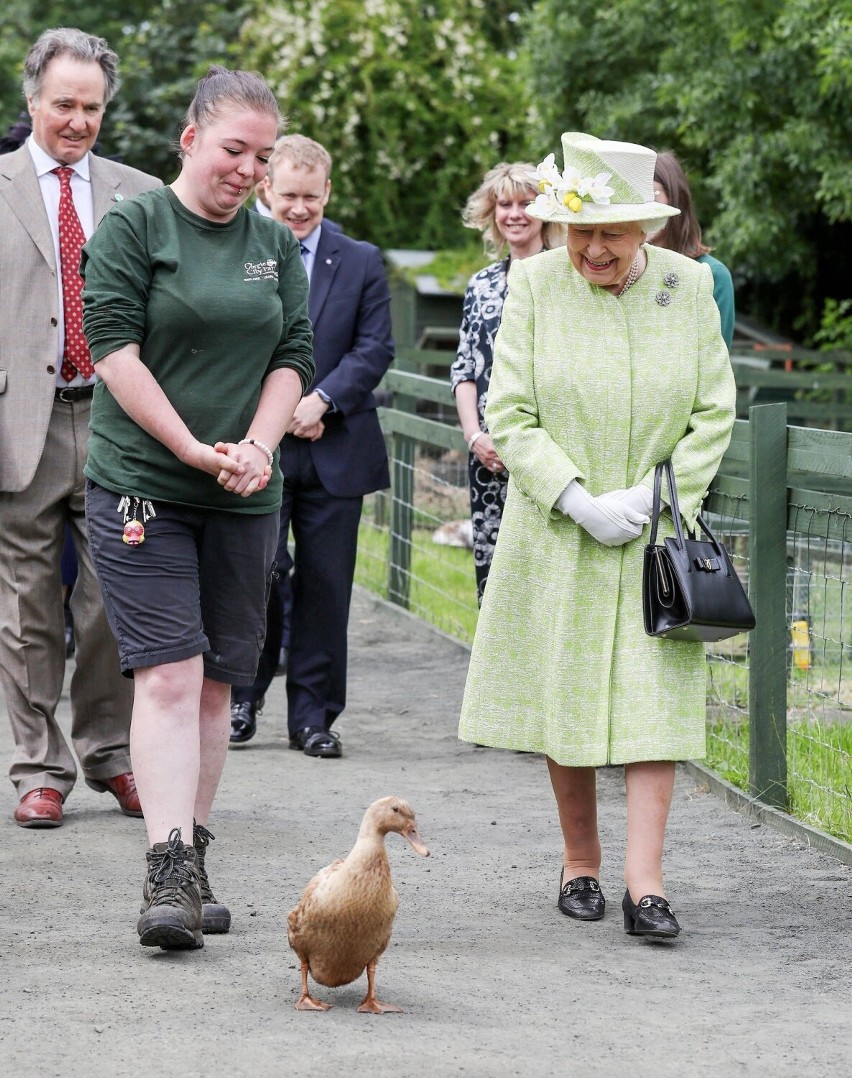 Królowa Elżbieta II w czasie wizyty w Gorgie City Farm w...