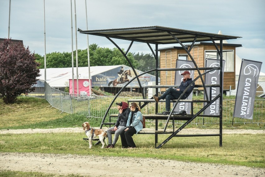 Gm. Szamotuły. Festiwal Jeździecki Baborówko: widowiskowy maraton zaprzęgów konnych