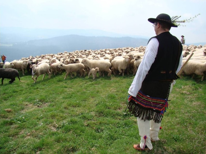 Sanok członkiem Porozumienia Karpackiego &quot;Karpaty Naszym Domem&quot;