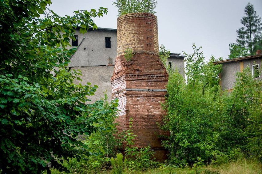 Browar w Boguszowie-Gorcach to ruina. Starosta chce go ratować. Zobacz jak dziś wygląda! (ZDJĘCIA)