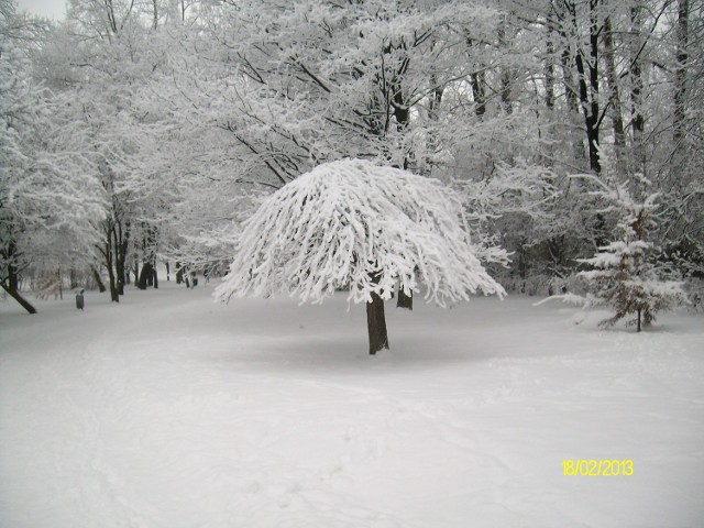 Park Sybiraków