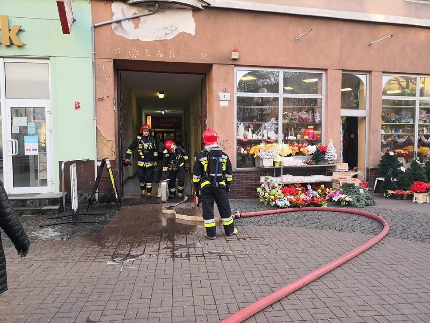 Zobacz też wideo: Notoryczny złodziej w rękach policji z...