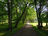 Park w Zwierzyńcu pięknieje. Rusza drugi etap rewitalizacji