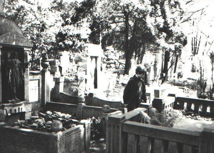 Cmentarze w Poznaniu: Cmentarz jeżycki