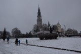 Boże Narodzenie na Jasnej Górze. Wierni mogą zobaczyć szopkę oraz piękne choinki w wieczerniku [ZDJĘCIA]