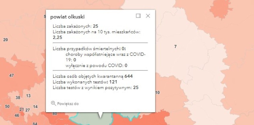 Ponad czternaście tysięcy zakażeń COVID-19 w Polsce. W powiatach oświęcimskim, wadowickim, chrzanowskim i olkuskim też są nowe przypadki