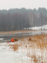 Strażacy uratowali tonące psy, pod którymi załamał się lód              