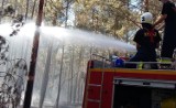 Pożar był ogromny! Nasi strażacy pomogli sąsiadom zza Odry [ZDJĘCIA]