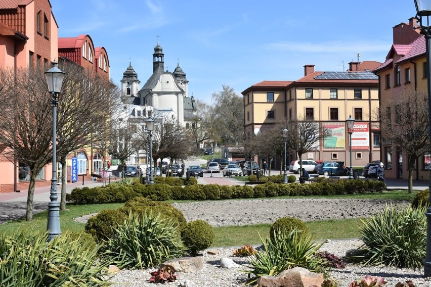 W najbliższych dniach rozpocznie się zakładanie łąk kwietnych w Chełmie