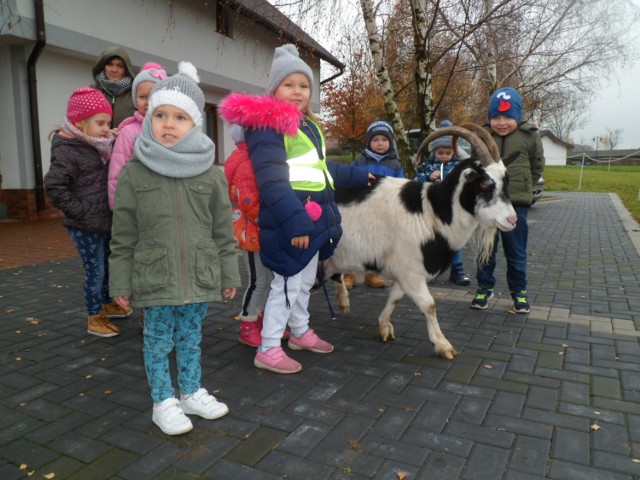 Przedszkolaki ze Smardzewa odwiedziły Karczmę Taborska w Janowcu, gdzie poznawały regionalne smaki i tradycje