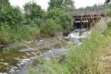 Zanieczyszczenie rzek Niechwaszcz i Wda. Są wyniki badań i nowe fakty. Sprawca z powiatu kościerskiego chce naprawić szkody