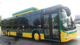 "Dzień dobry, potencjalny zabójco". To kierowcy autobusów słyszą od pasażerów. Ta praca to ogromna odpowiedzialność i stres