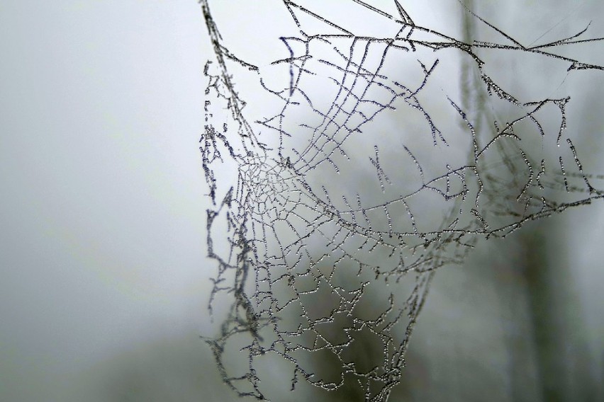 Jaka będzie pogoda w niedzielę, 2 grudnia 2018 (2.12.2018)?...