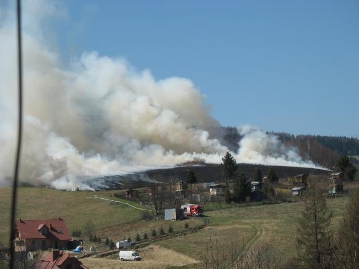 Sądecczyzna: niebezpieczne wypalanie traw