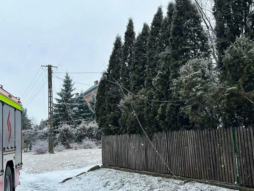 Przez woj. lubelskie przeszły burze śnieżne. Strażacy podsumowali skutki wichur i nawałnic w regionie