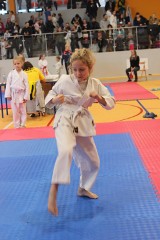 Karate: 15 zawodników i... 15 medali. Tak walczą prawdziwi fighterzy!