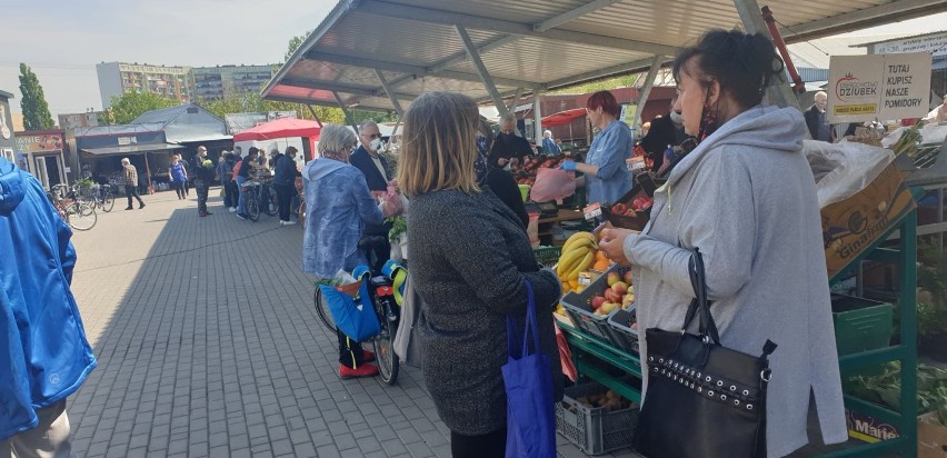 Warzywa i owoce na miejskim targowisku w Bełchatowie. Truskawki drogie, bo... polskie ZDJĘCIA