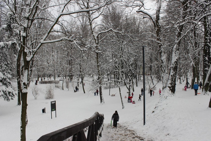 Park Kachla w Bytomiu zimą. Zobacz kolejne zdjęcia >>>