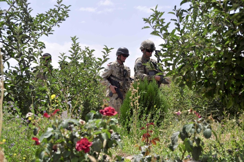 Polscy żołnierze w Afganistanie pomagają miejscowym rolnikom