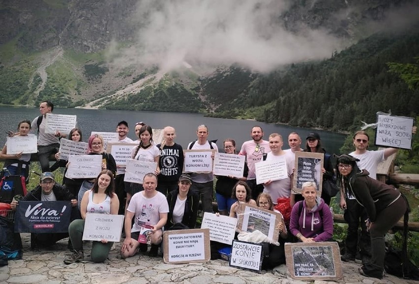 Tatry. Spacerowali z transparentami w obronie praw koni z Morskiego Oka