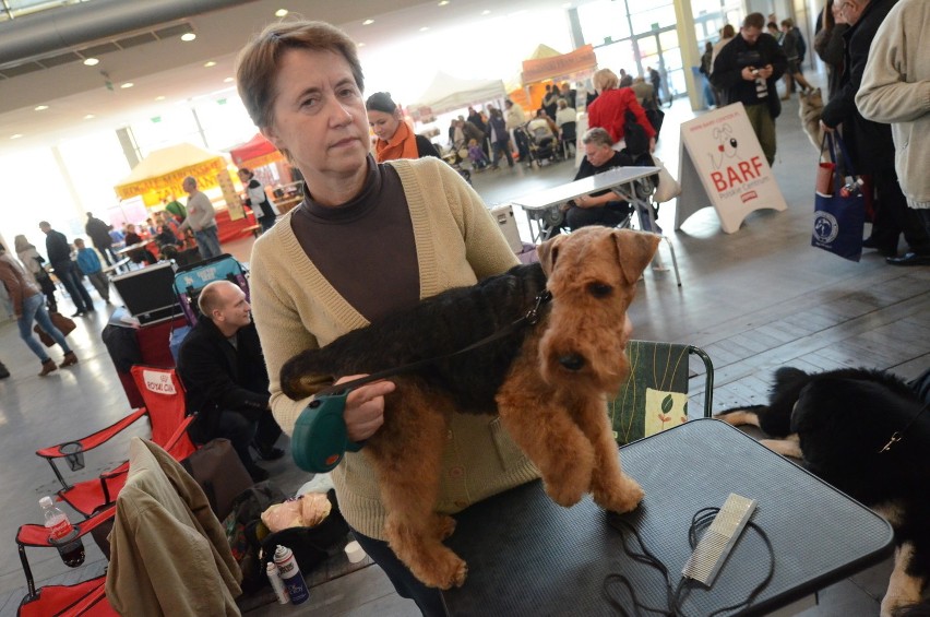 Teriery
yorkshire terrier, airedale terrier, foksteriery,...