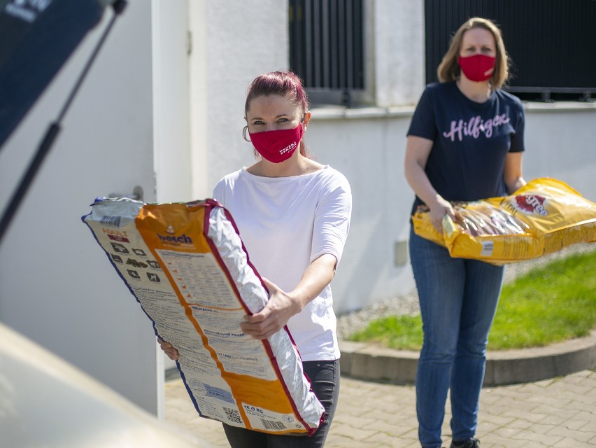 Łomża. Galeria Veneda wsparła psiaki ze schroniska Arka [zdjęcia]