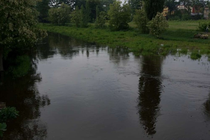 Kalisz: Wysoka woda w rzece nie zagraża parkowi wodnemu. ZDJĘCIA
