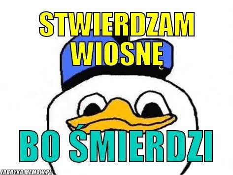 Idzie wiosna! Zobacz najśmieszniejsze memy i śmieszne obrazki [MEMY]