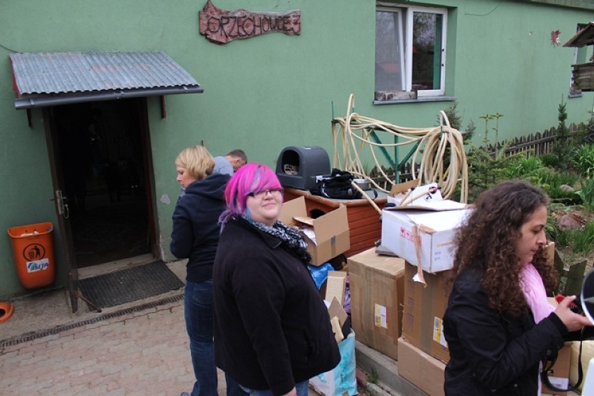 Organizacja White Paw odwiedziła schronisko w Orzechowcach