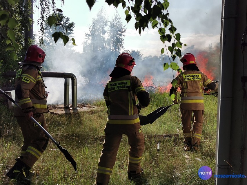 Pożar na ulicy Witosa we Włocławku