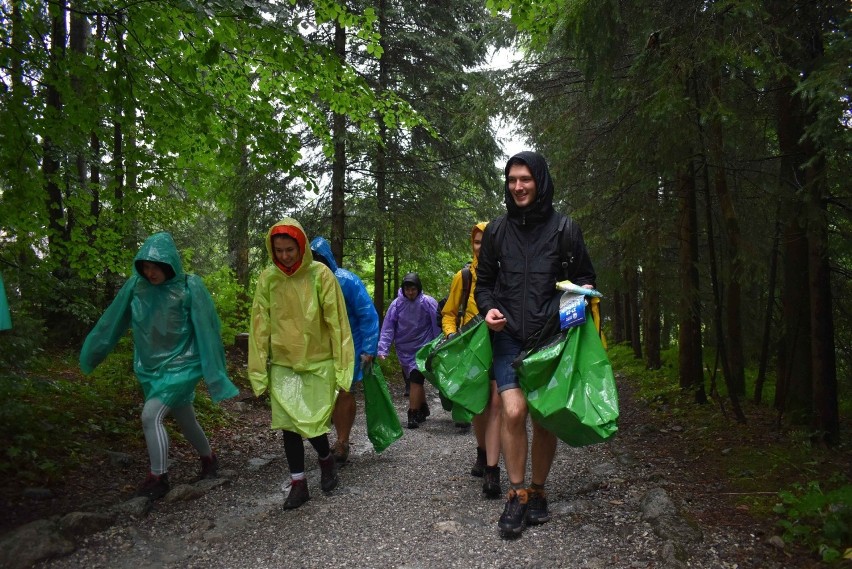 Akcja Czyste Tatry. Mimo deszczu tysiące wolontariuszy ruszyło na szlaki zbierać śmieci