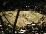 Zapomniane cmentarze w gminie Zduny [ZDJĘCIA]              