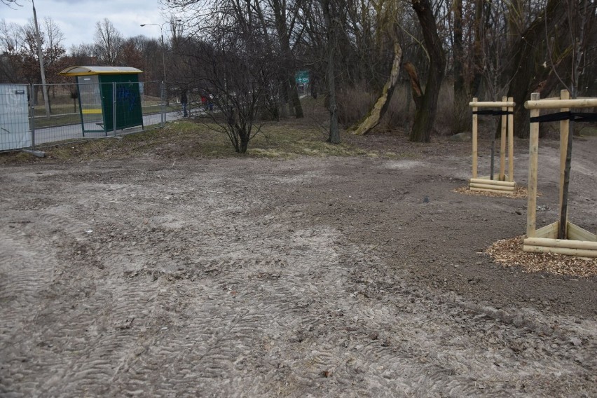 Rewitalizacja "Wenecji". Trwa prace wraz z wycinką drzew od strony ul. Poznańskiej