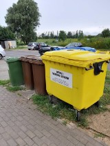 Urzędnicy skontrolowali deklaracje wywozu śmieci w gminie Kolbudy. Wielu mieszkańców podało nieprawdziwe dane