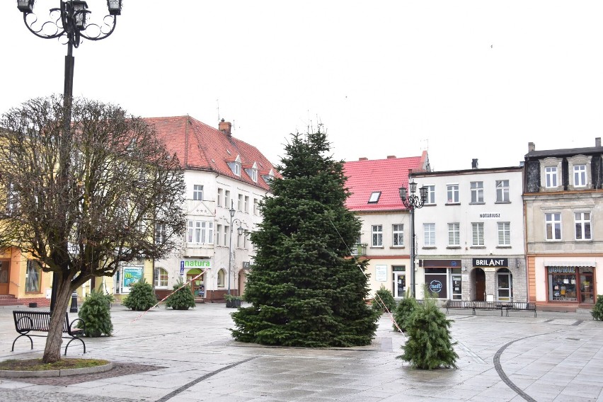 Choinka na żnińskim rynku została ustawiona w sobotę, 27...