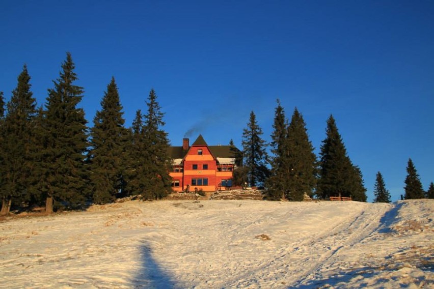 Śnieg w górach. W Beskidach pięknie! Zobacz ile jest śniegu. GOPR ostrzega [ZDJĘCIA]