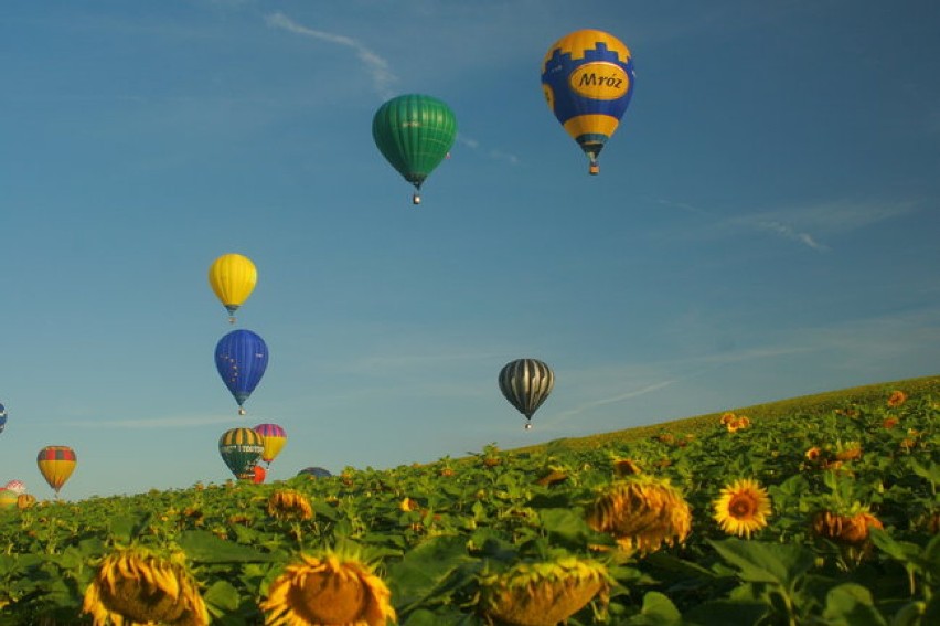 Dolsk: balony latały nad okolicą. I Balonowe Mistrzostwa...