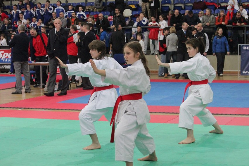 7 Puchar Europy Karate CEKL. Zwycięstwa zawodnikow K.S.Shindo z Cieszyna