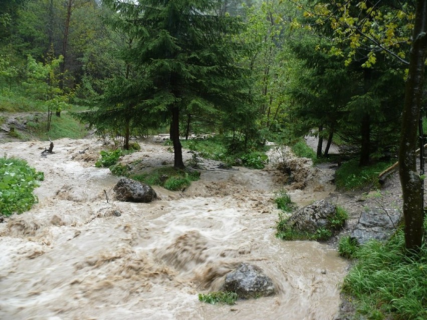 Pieniny: szlaki turystyczne zniszczone po powodzi. Zakaz wstępu dla turystów