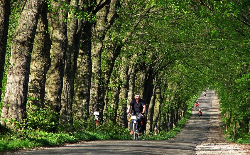 Rajd rowerowy Odra – Nysa, ze Szczecina do Czech