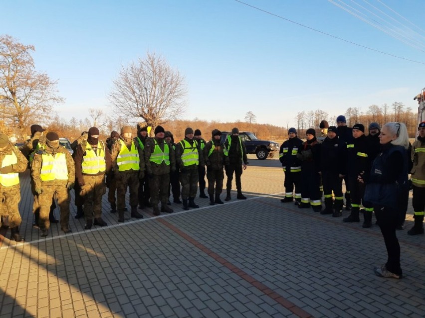 Kolejne padłe dziki w lesie koło Kalnikowa w powiecie przemyskim [ZDJĘCIA]