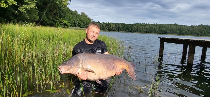 Z Jeziora Miłoszewskiego wyłowił ponad 32 kg karpia!
