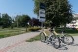 W Jastrzębiu z miejskich rowerów korzystają na potęgę. Mieszkańcy narzekają jednak na dostępność jednośladów. Chcieliby też "elektryków"
