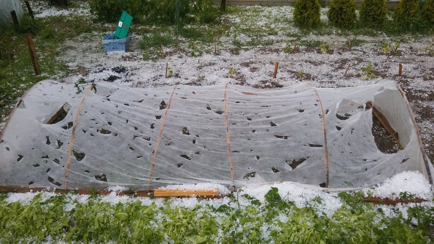 Gradobicie w powiecie krakowskim.