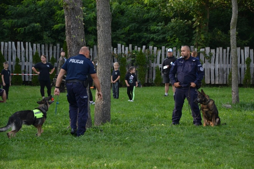 Festyn charytatywny na lipnowskiej PUK Arenie. Zbierali, by pomóc Nathanowi z Lipna [zdjęcia]