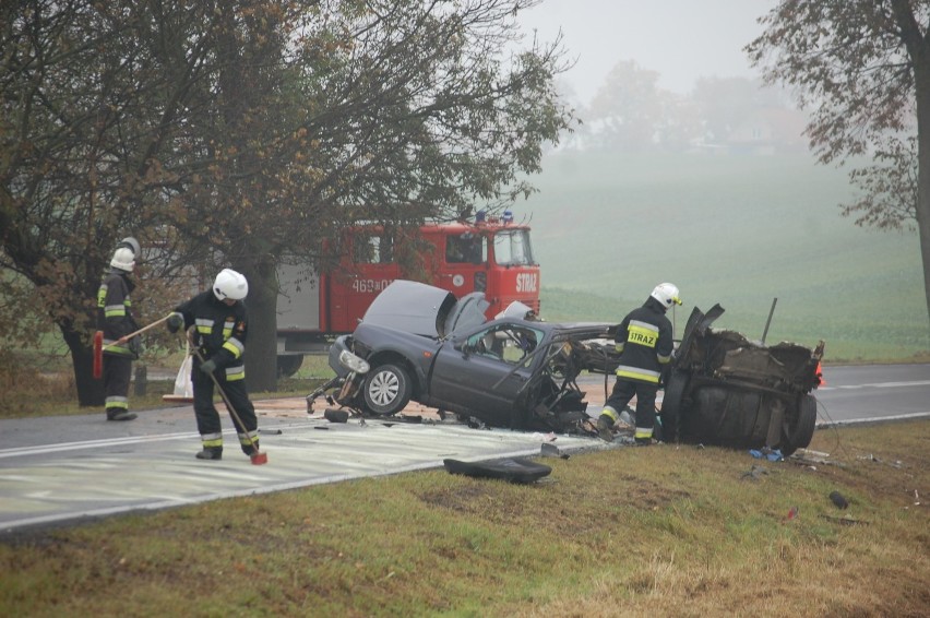 Wypadek koło Bądek. Nie żyje 22-letni mężczyzna [ZDJĘCIA]