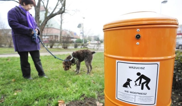 Sprzątanie po psach staje się w Polsce normą. Brudzą głównie psy wałęsające się bez nadzoru człowieka.