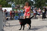 Jarosławiec - wybierali najpiękniejsze psy wczasowe ZDJĘCIA i WIDEO