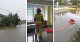 Nawałnica w Będzinie. Ponad 70 interwencji straży. Woda wdarła się do przedszkola, a przez trudne warunki pogodowe doszło do dwóch wypadków